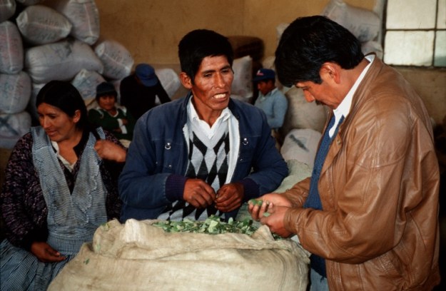 Auf dem legalen Cocamarkt von La Paz