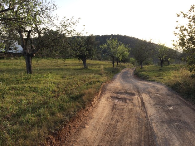 eine Strasse bei San Miguel, Ibiza