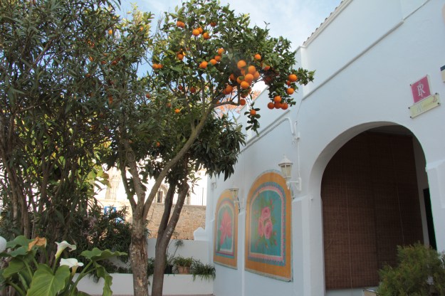 Cafe Vista Alegre, San Juan