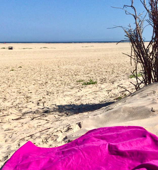 An den einsamen Stränden im Osten von Borkum