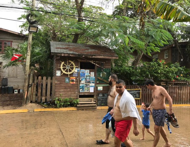 Die Meisten kommen zum tauchen nach Roatan