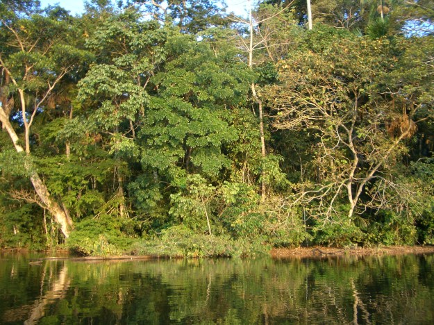 rio Tiuchi viajando a Madidi